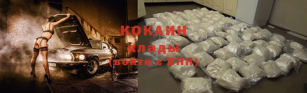 твердый Аркадак
