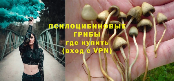apvp Арсеньев