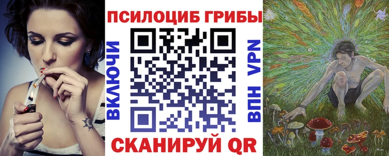 закладка  Спас-Деменск  Галлюциногенные грибы MAGIC MUSHROOMS 